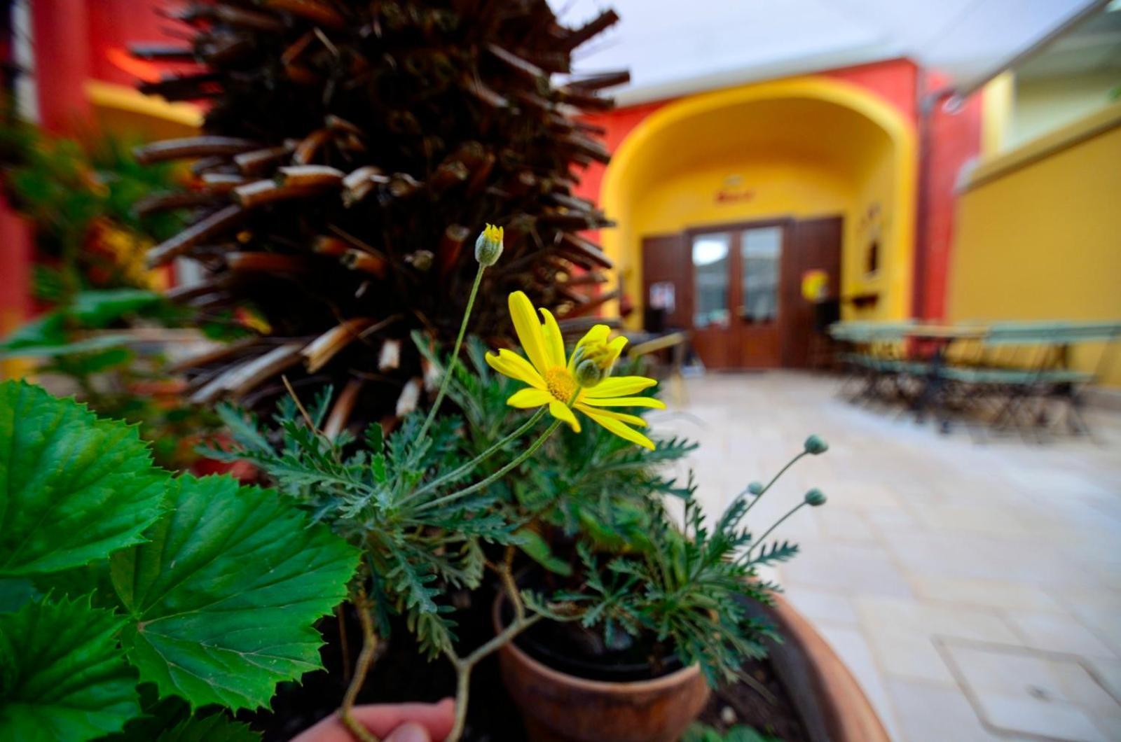 Manouche Osteria B&B San Leucio Bagian luar foto