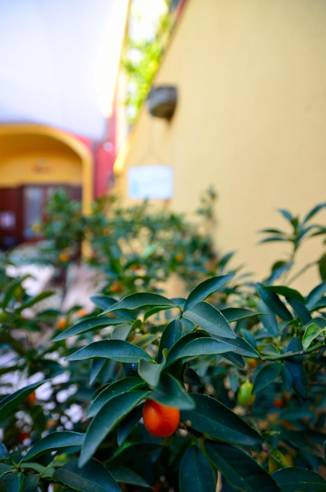 Manouche Osteria B&B San Leucio Bagian luar foto